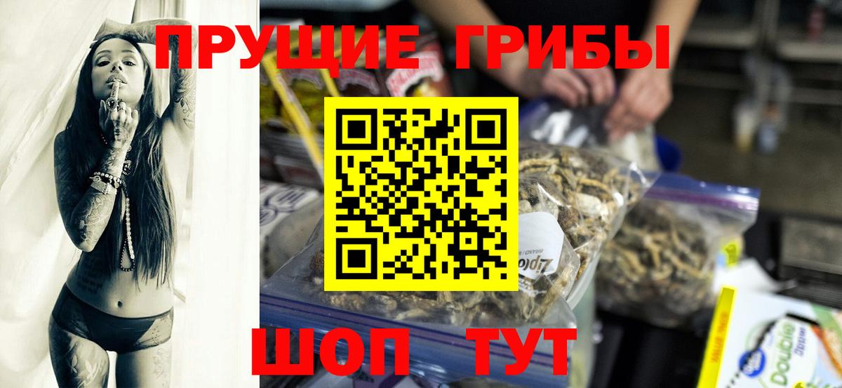 Дивногорск  Галлюциногенные грибы Cubensis  Вход с VPN 