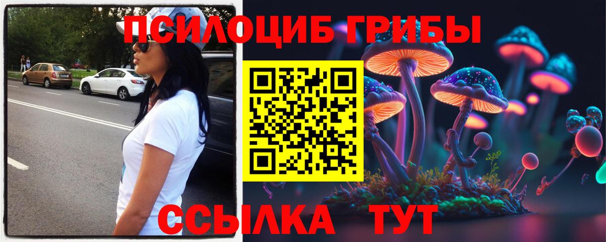 Псилоцибиновые грибы мицелий Дивногорск